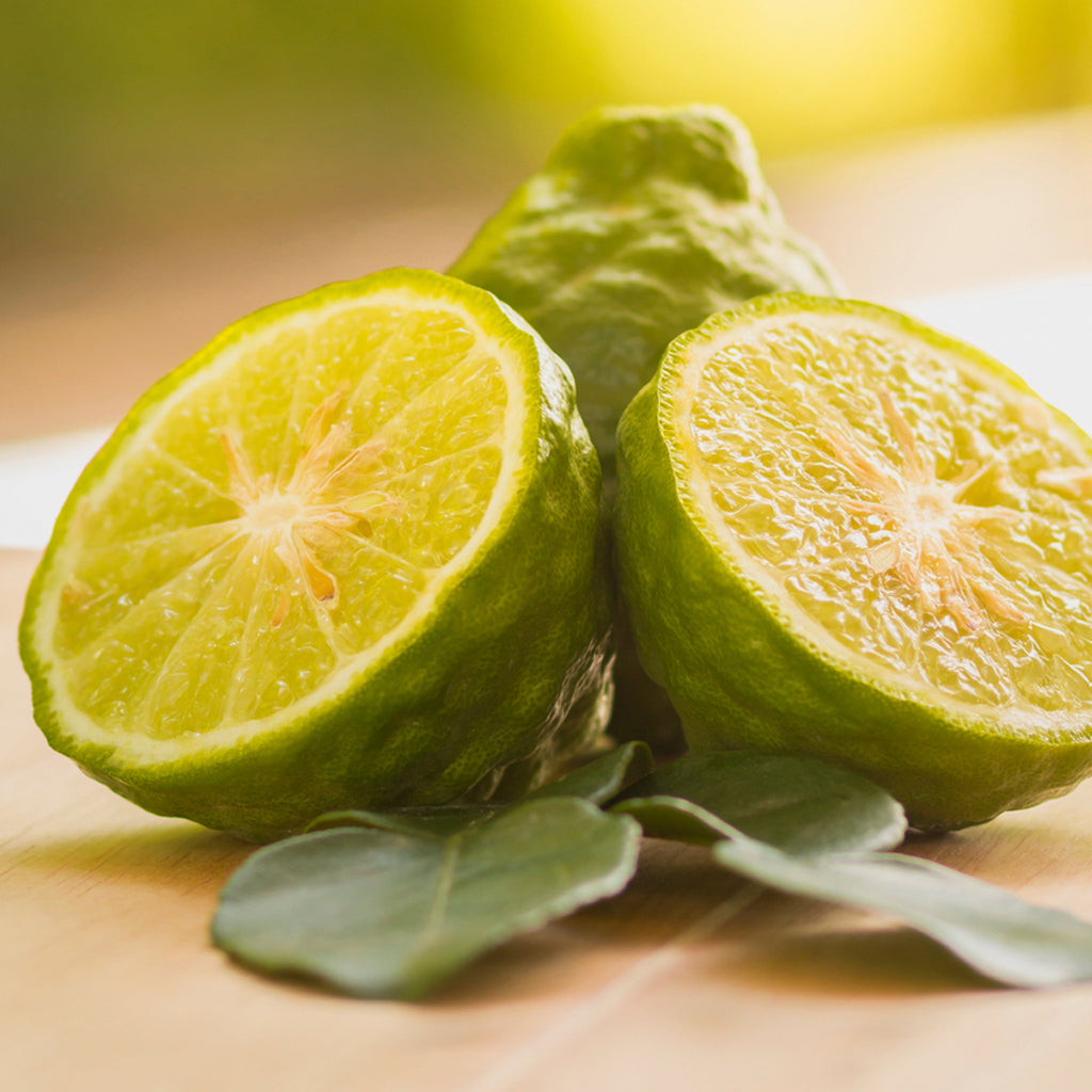 Bergamot + Amber Body Butter