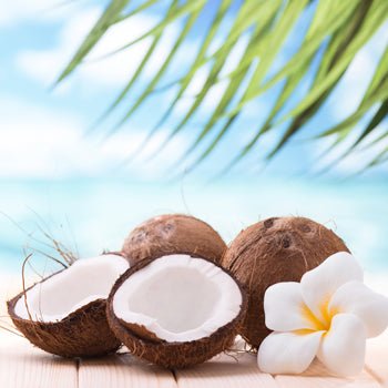 Coastal Coconut Whipped Soap - Infinity Soap Company