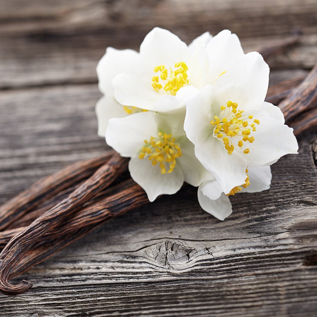 Vanilla Oak Sugar Scrub - Infinity Soap Company