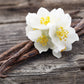 Vanilla Oak Body Butter - Infinity Soap Company